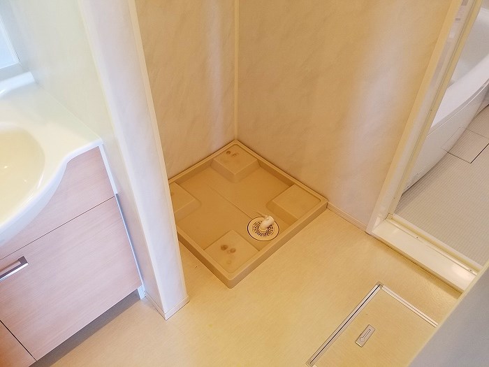 ロザージュ 洗面所