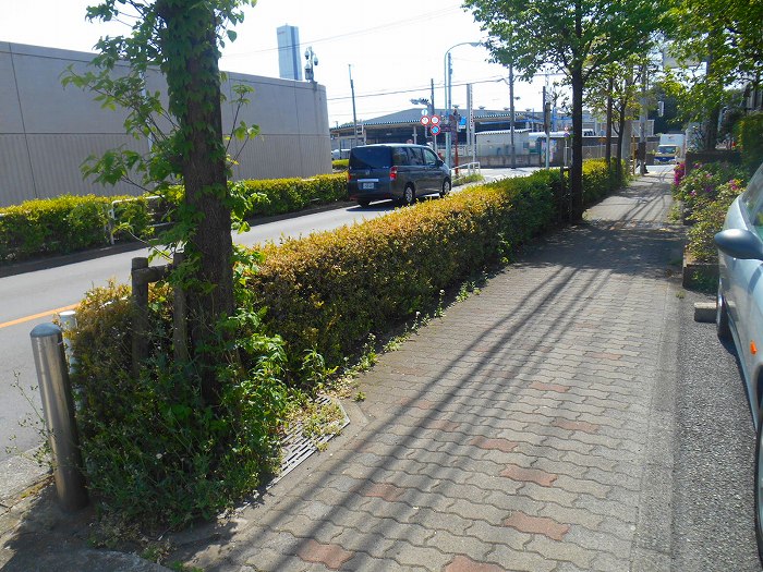 アベルテ北府中  眺望