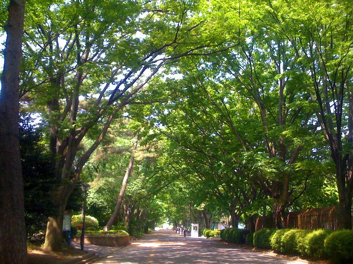 オーチャードヒル  国立東京学芸大学