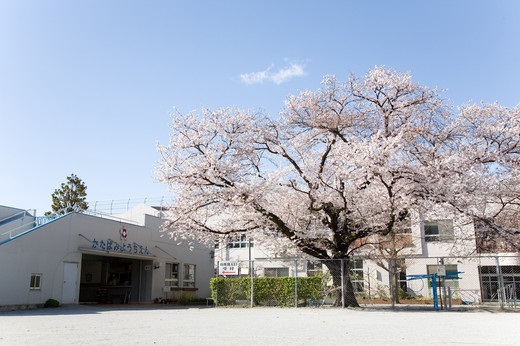 木戸レジデンス  国立学園附属かたばみ幼稚園