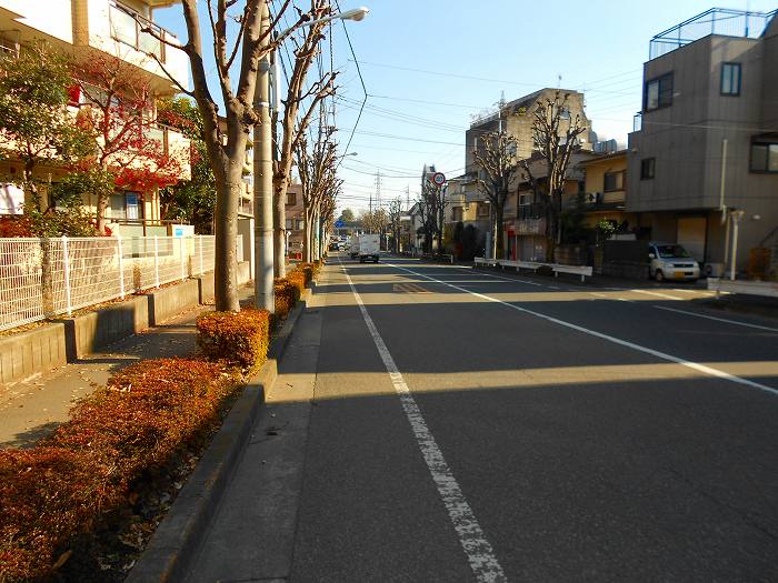 サンモール恋ヶ窪  眺望