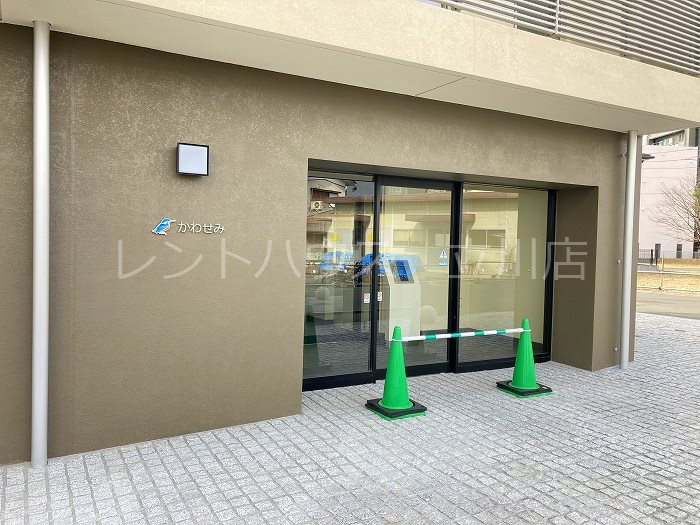 かわせみ その他
