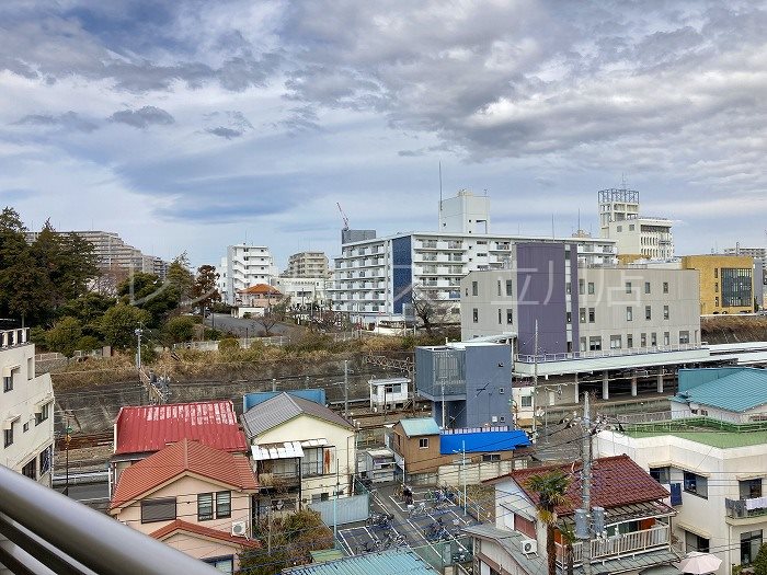 かわせみ その他