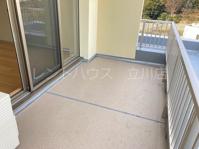 かわせみ その他