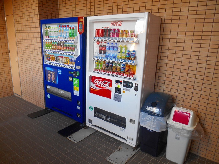 クレッセント国立ディアナプレイス その他設備