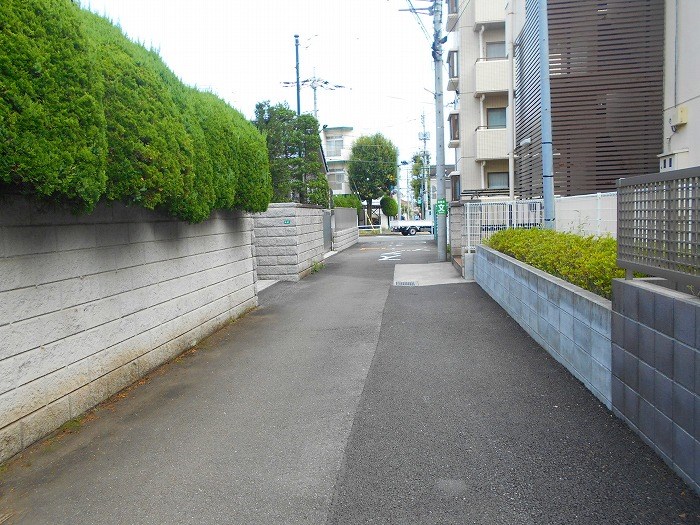 アルテア 眺望