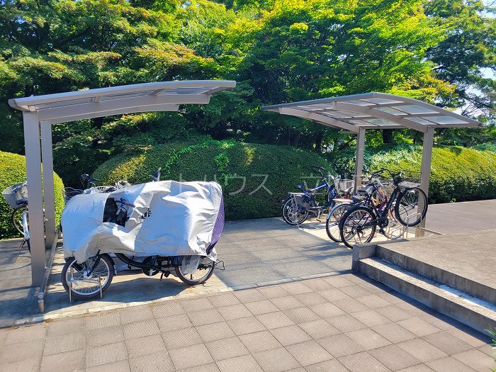 アゼリア その他